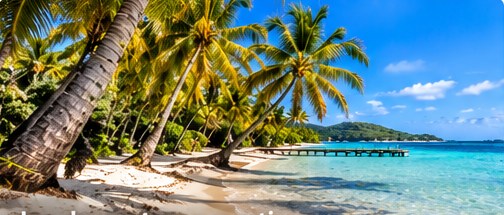 Illustration de plage tropicale et cocotiers